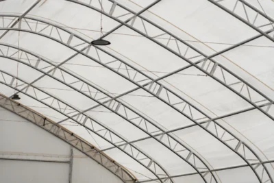 haly-test_DSC03386-Enhanced-NR